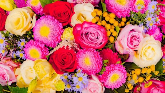 fleurs-couleur