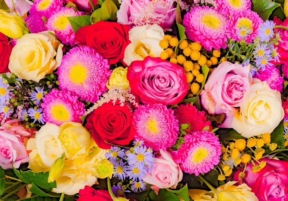 fleurs-couleur