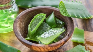 aloe-vera