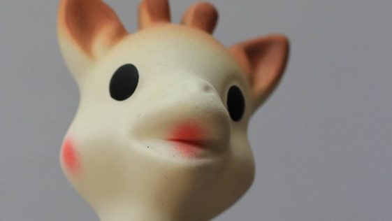sophie la girafe moisissure