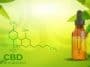 bienfaits huile cbd