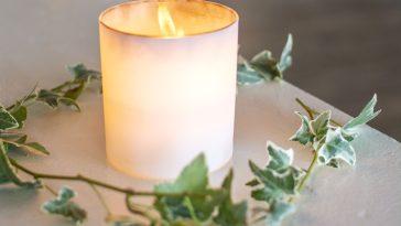 bougie avec verdure