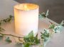 bougie avec verdure