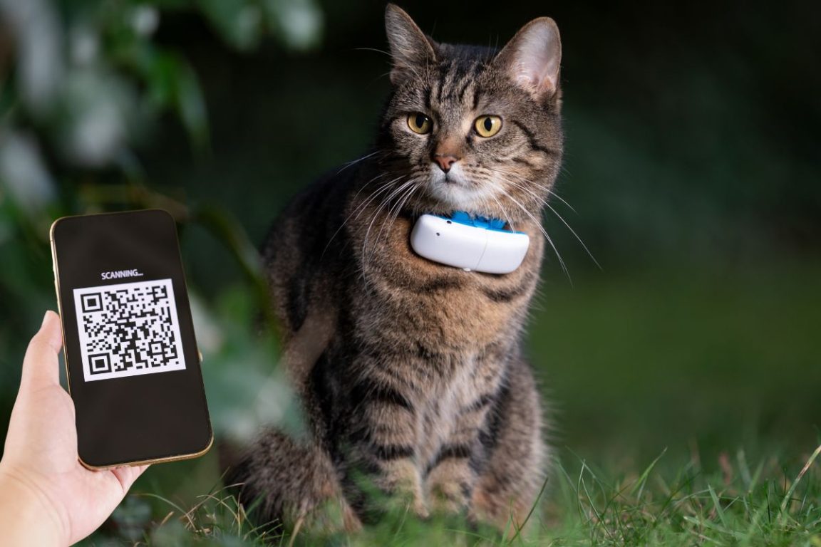 solution qr code