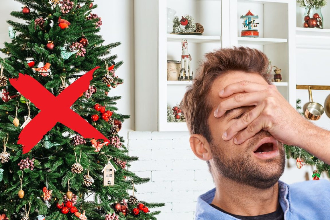 découvrez 5 arbres alternatifs pour remplacer le traditionnel sapin de Noël.