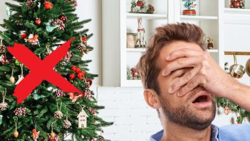 découvrez 5 arbres alternatifs pour remplacer le traditionnel sapin de Noël.