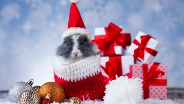 cadeau de noël animaux