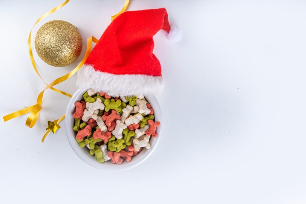 cadeaux accessoires pour animaux