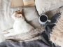 chat contre froid