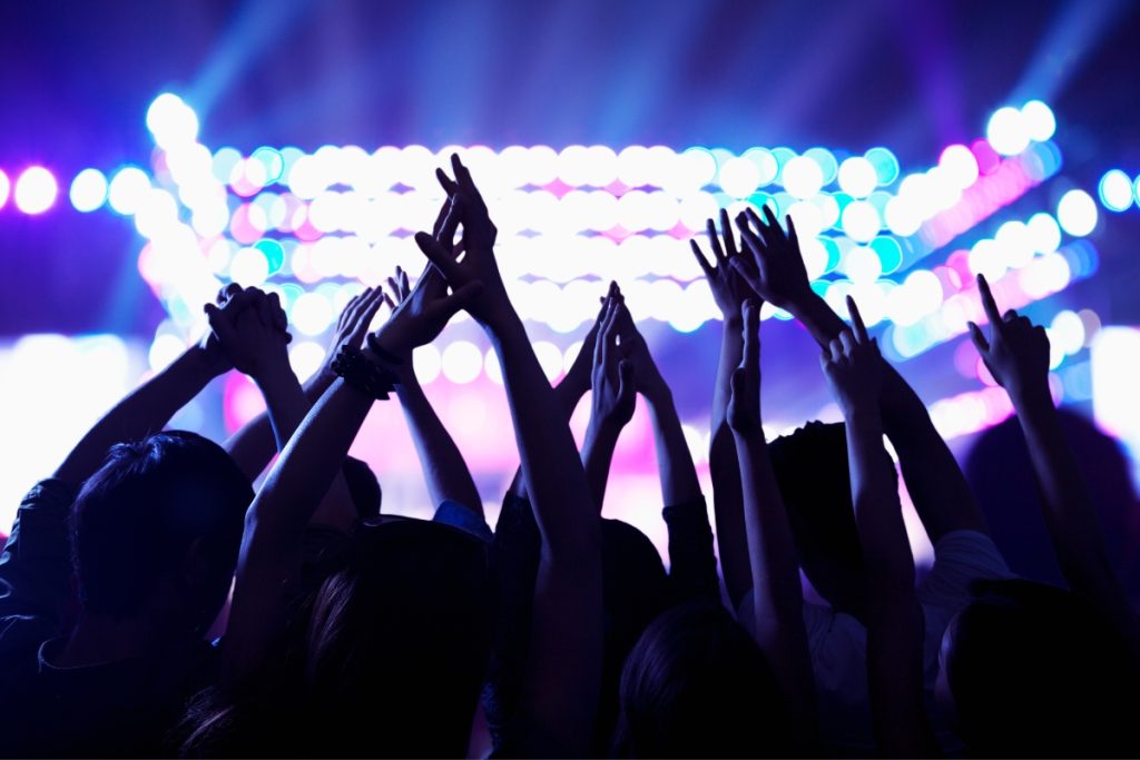 danse avec les stars fans
