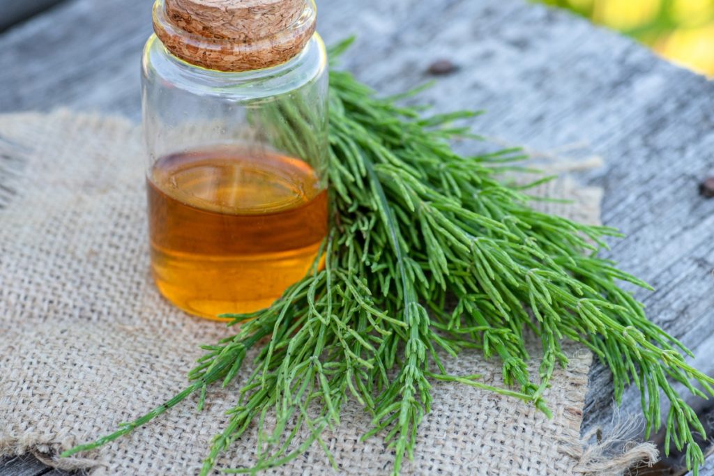 infusions et decoctions