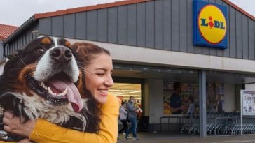 lidl accessoire chien
