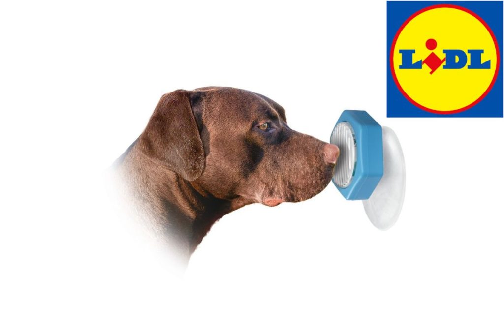systeme dressage intelligent lidl chiens