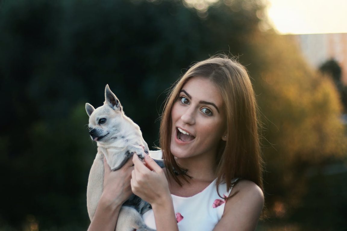 assurance-pour-animaux-de-compagnie
