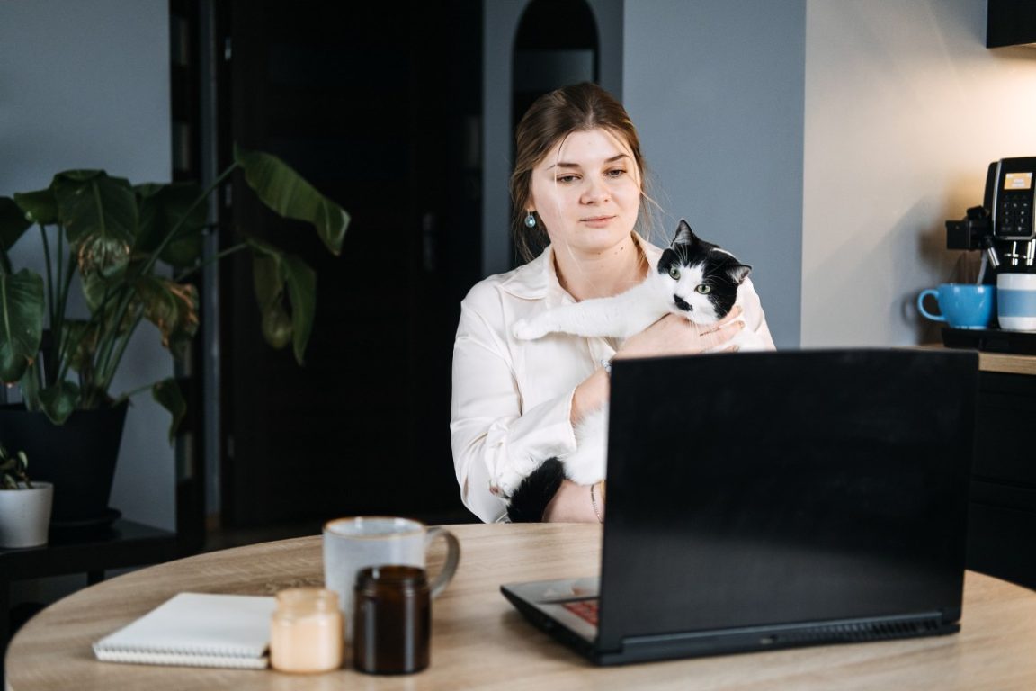 services de télémédecine vétérinaire