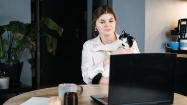 services de télémédecine vétérinaire
