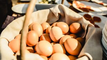 oeufs de poule