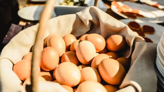 oeufs de poule