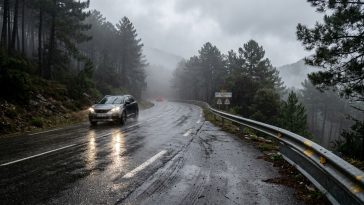 consultez la météo en direct, l'état de la route et les conditions d'accès au col de vizzavona grâce à notre caméra en temps réel.